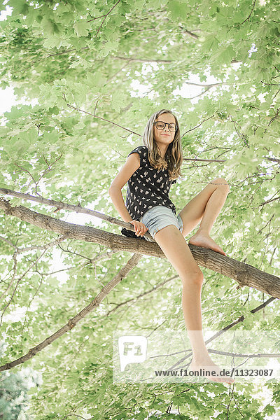 Ein junges Mädchen in Shorts sitzt auf einem hohen Baumast unter einem Baldachin aus grünen Blättern.