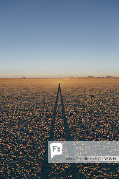 Mann  der in der Abenddämmerung auf Black Rock Desert Playa steht und lange Schatten wirft  Nevada