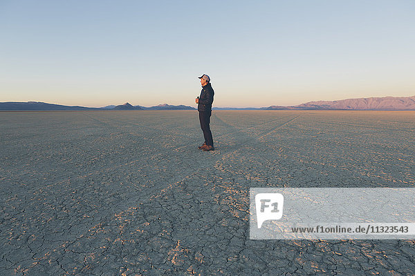 Mann steht im Morgengrauen in riesiger Wüstenlandschaft,  Schwarze Steinwüste,  Nevada