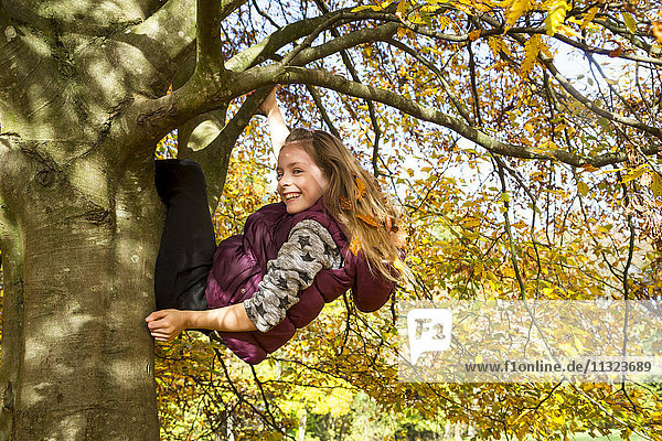 Girl climbing on tree in autumn