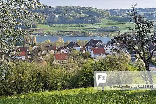 Deutschland  Oehningen  Blick auf das Dorf mit Untersee im Hintergrund