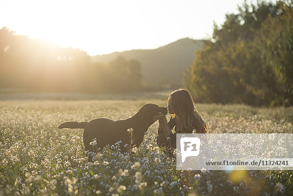Junge Frau und ihr Hund im Blumenfeld in der Dämmerung