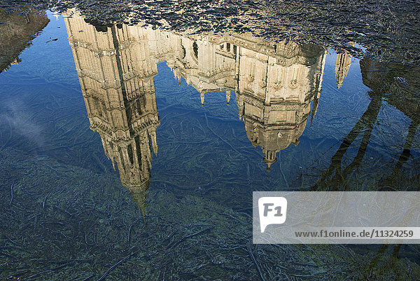 Spanien  Toledo  Wasserspiegelung der Kathedrale von Toledo in einer Pfütze