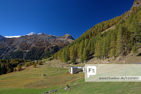 Altweibersommer im Val di Campo in Graubünden