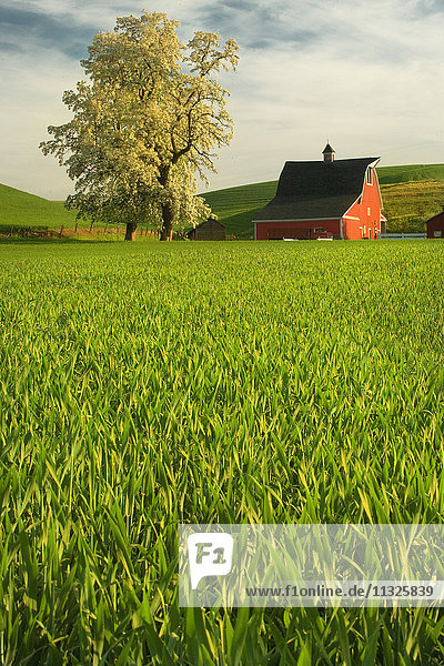 farm in Washington State