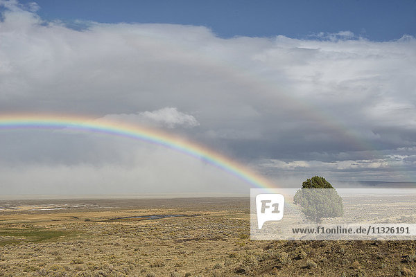 Hochwüste und Regenbogen in Oregon