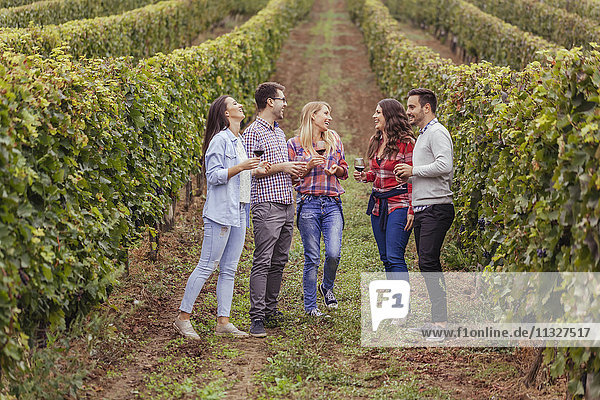 Happy friends in a vineyard