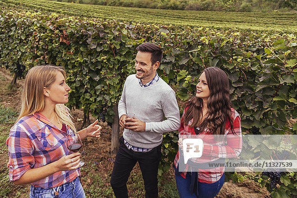 Friends in a vineyard holding glasses of red wine