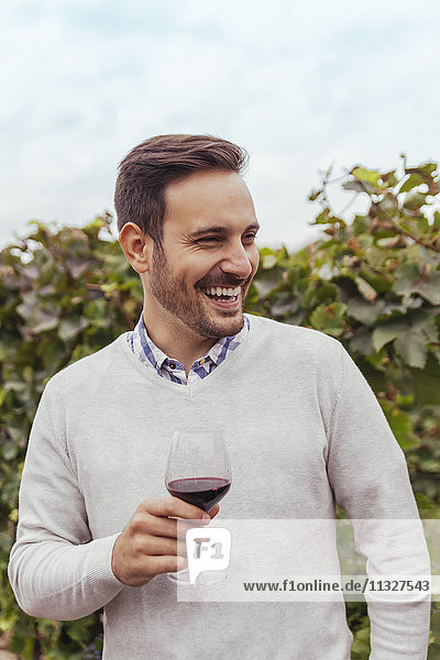 Glücklicher junger Mann in einem Weinberg mit einem Glas Rotwein