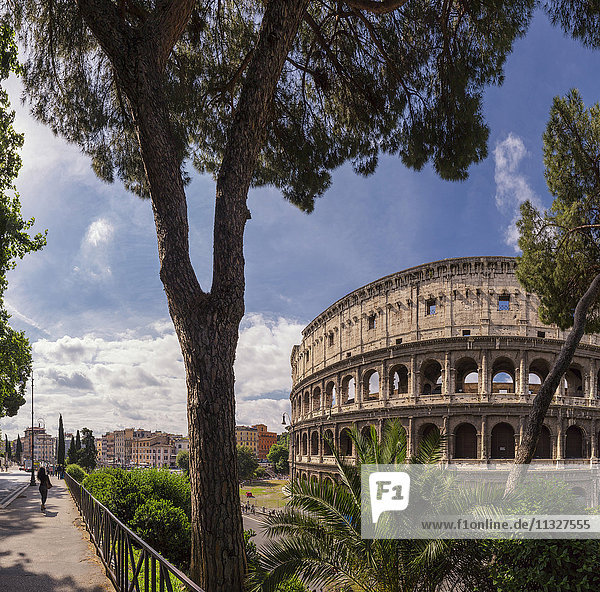 Coloseum in Rome