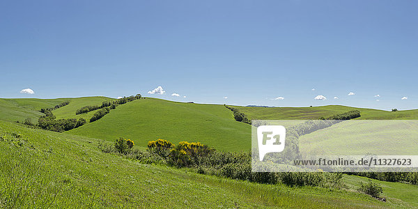 Hügel im Val di Paglia in der Toskana