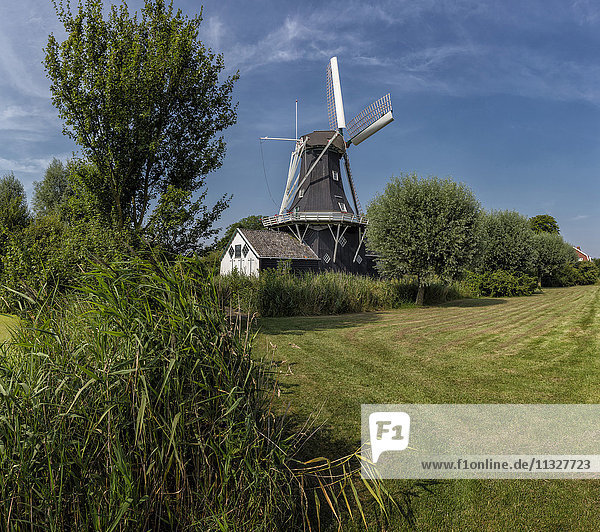 Niederlande  Europa  Holland  Woltersum  Groningen  Windmühle  Feld  Wiese  Bäume  Sommer  Holzfällerei  De Fram