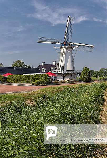 Niederlande  Europa  Holland  Ten Post  Groningen  Windmühle  Sommer  Olle Widde