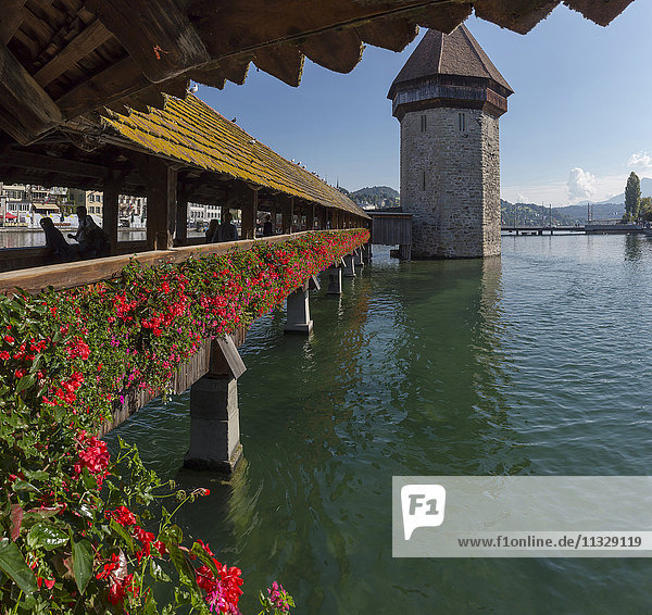 Lucerne city with chapel bridge