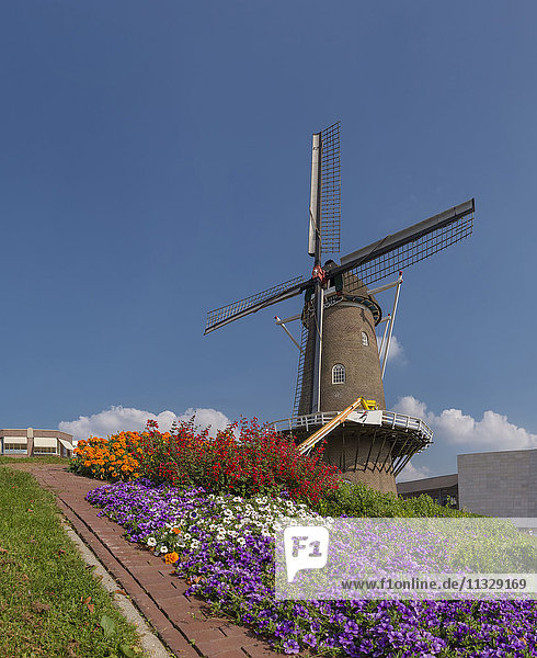 Windmill in Doetinchem  Gelderland