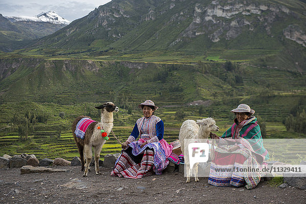 zwei einheimische Frauen mit Alpakas in Peru