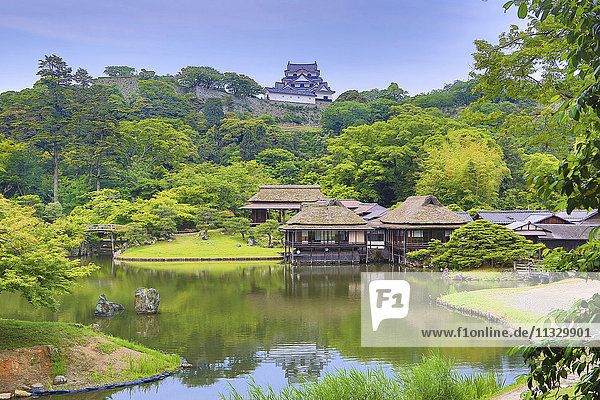 Teehäuser und Schloss Hikone  Japan
