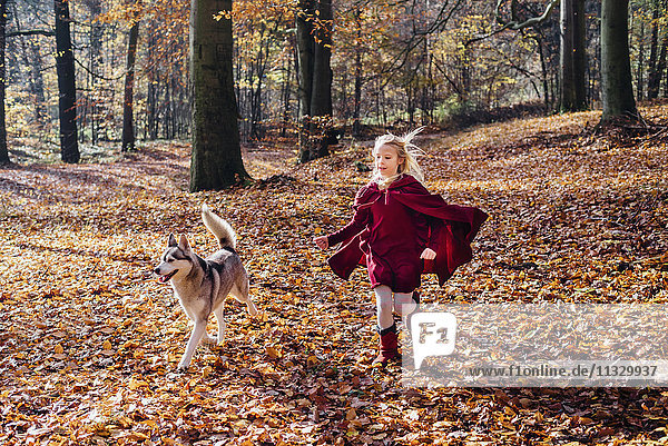 Rotkäppchen  Mädchen läuft im Wald mit Husky