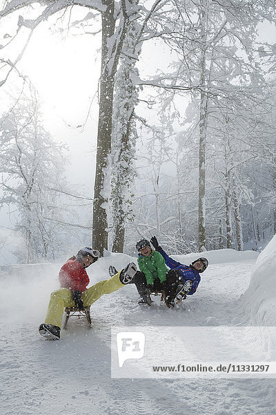 Gruppe beim Schlittenfahren im Winter in der Schweiz