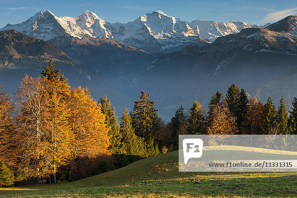 Aussichtspunkt Beatenberg im Kanton Bern mit Bergen  Eiger  Mönch Jungfrau