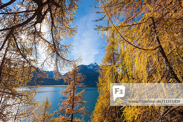 Der Silsersee in Graubünden im Engadin im Herbst