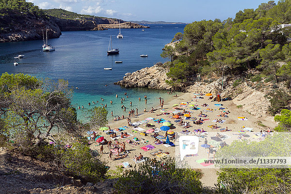 Spain  Balearic Island  Ibiza  Cala Salada beach