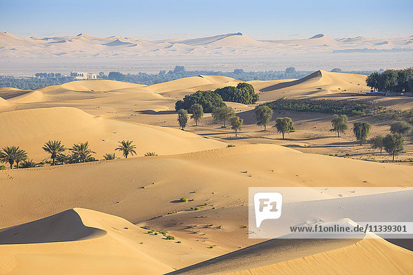 Remah-Wüste  Al Ain  Abu Dhabi  Vereinigte Arabische Emirate  Naher Osten