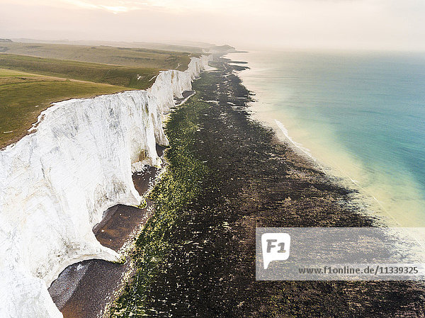 The Seven Sisters chalk cliffs  South Downs National Park  East Sussex  England  United Kingdom  Europe