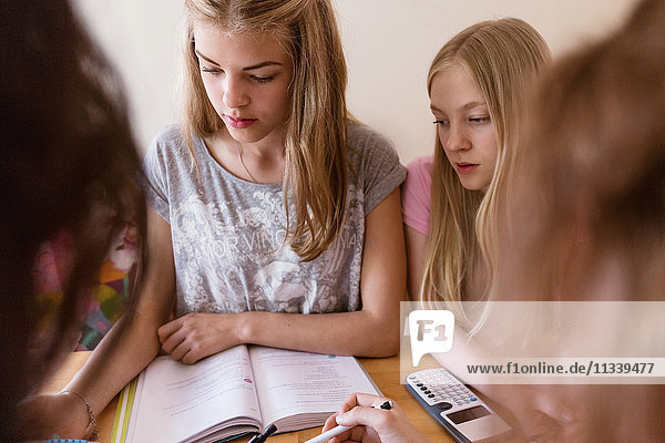 Teenager-Mädchen studieren zusammen zu Hause