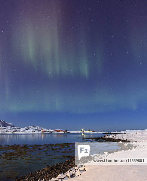 Northern lights (Aurora Borealis) on the snowy peaks reflected in the cold sea Volanstinden Fredvang Lofoten Islands Northern Norway Scandinavia Europe