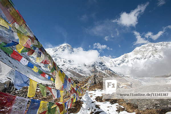Buddhistische Gebetsfahnen im Annapurna Base Camp  Nepal  Himalaya  Asien