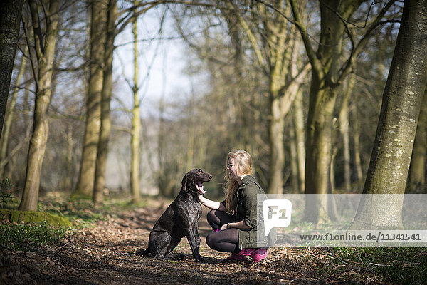 A girl takes her German short-haired pointer for a walk in woods near Ashmore in Dorset  England  United Kingdom  Europe