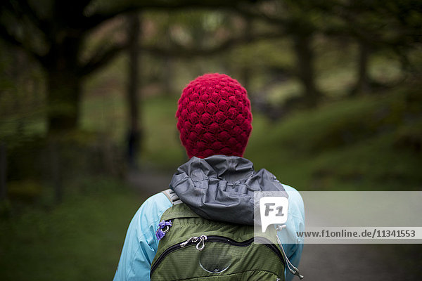 Eine Frau wandert im Wald in der Nähe von Grasmere im Lake District  Cumbria  England  Vereinigtes Königreich  Europa
