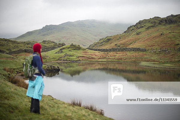 A woman looks out over Alcock Tarn near Grasmere  Lake District National Park  Cumbria  England  United Kingdom  Europe