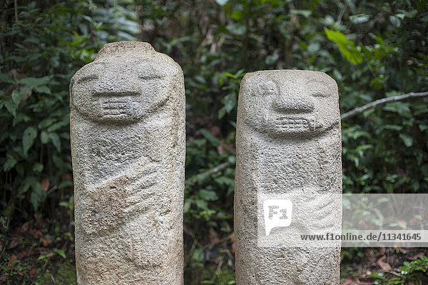 Eine alte präkolumbianische Steinmetzarbeit in San Agustin  UNESCO-Weltkulturerbe  im Süden Kolumbiens  Südamerika