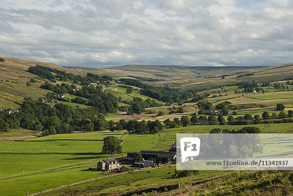 Landwirtschaftliches Gebiet  Lower Pennines  Northumberland  England  Vereinigtes Königreich  Europa