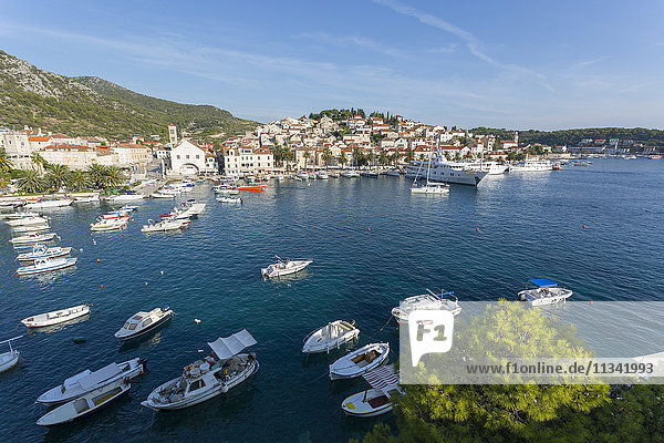 Ansicht des Hafens  Insel Hvar  Dalmatien  Kroatien  Europa