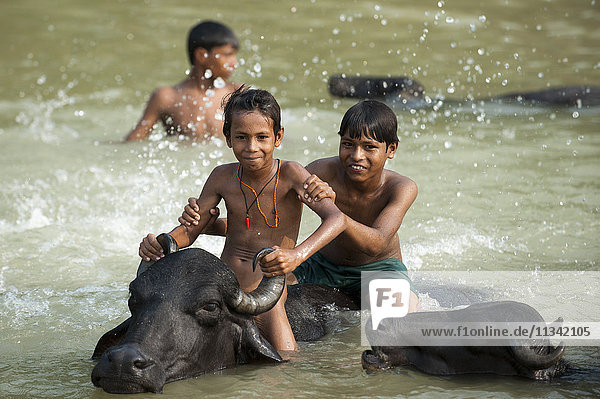 Kinder spielen in einem Fluss mit Wasserbüffeln  Bezirk Kapilvastu  Nepal  Asien