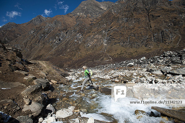 Stepping stones and stream on the trail in the Kagmara Valley a less trodden path Dolpa Nepal Asia