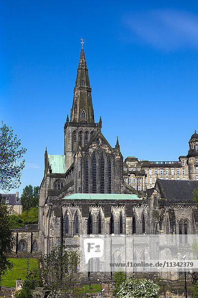 Kathedrale von Glasgow  Glasgow  Schottland  Vereinigtes Königreich  Europa