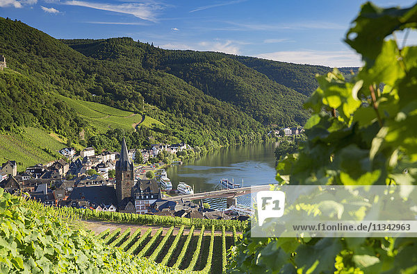View of vineyards and River Moselle  Bernkastel-Kues  Rhineland-Palatinate  Germany  Europe