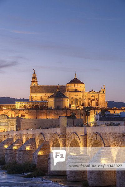 Roman Bridge in foreground and The Great Mosque (Mesquita) and Cathedral of Cordoba in the background  UNESCO World Heritage Site  Cordoba  Andalucia  Spain  Europe