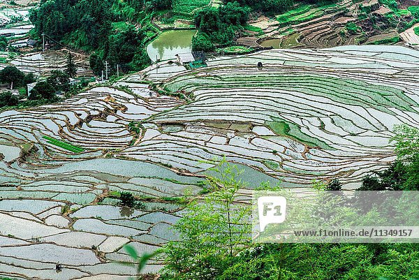 The terraced fields of Ou clan village Lianshan County Guangdong province China