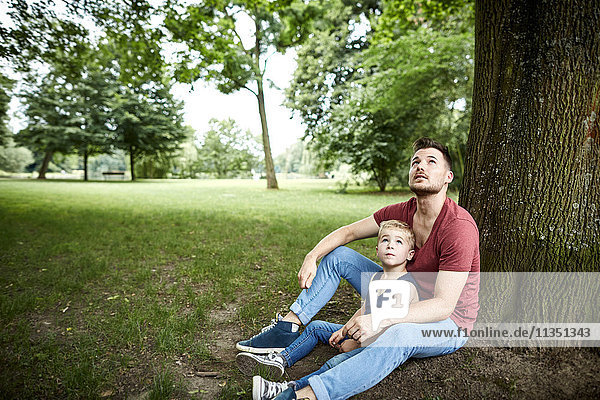 Father and son in park looking up