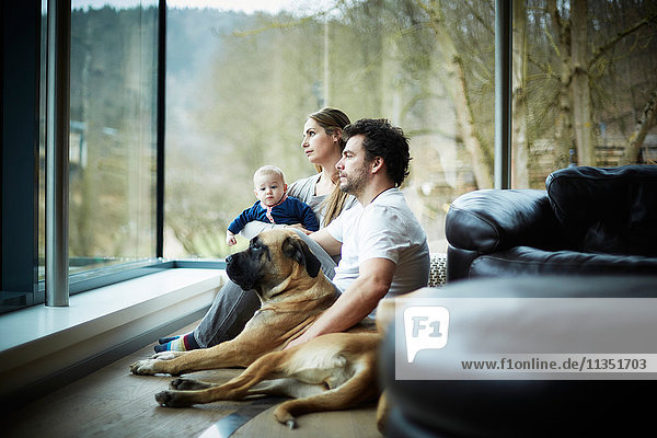 Familie mit Hund Zuhause schaut aus dem Fenster