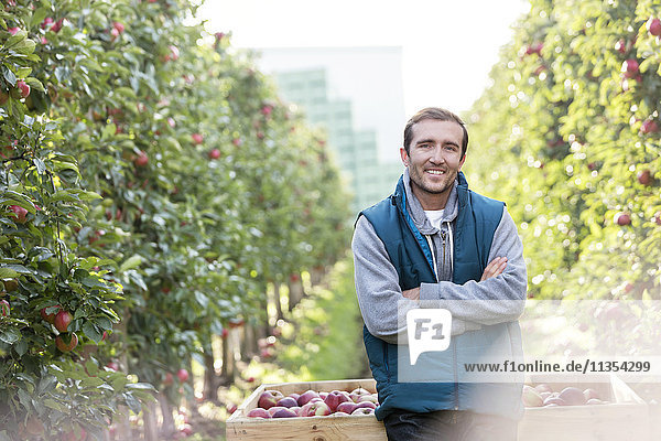 Portrait lächelnder Bauer bei der Ernte im Apfelgarten