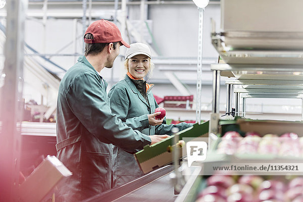 Arbeiter sprechen und inspizieren Äpfel in Lebensmittelbetrieben