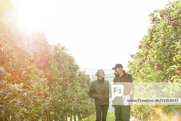 Bauern mit Klemmbrett reden im sonnigen Apfelgarten