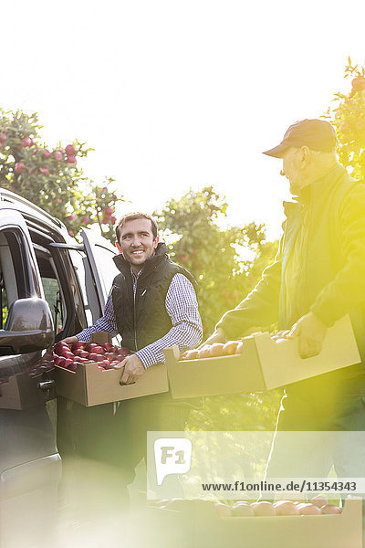Lächelnde männliche Bauern beim Verladen von Äpfeln ins Auto im sonnigen Obstgarten