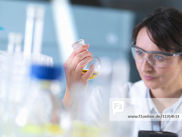 Wissenschaftler betrachtet chemische Formel im Becherglas während eines Experiments im Labor